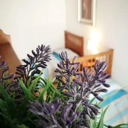 Meravigliosamente